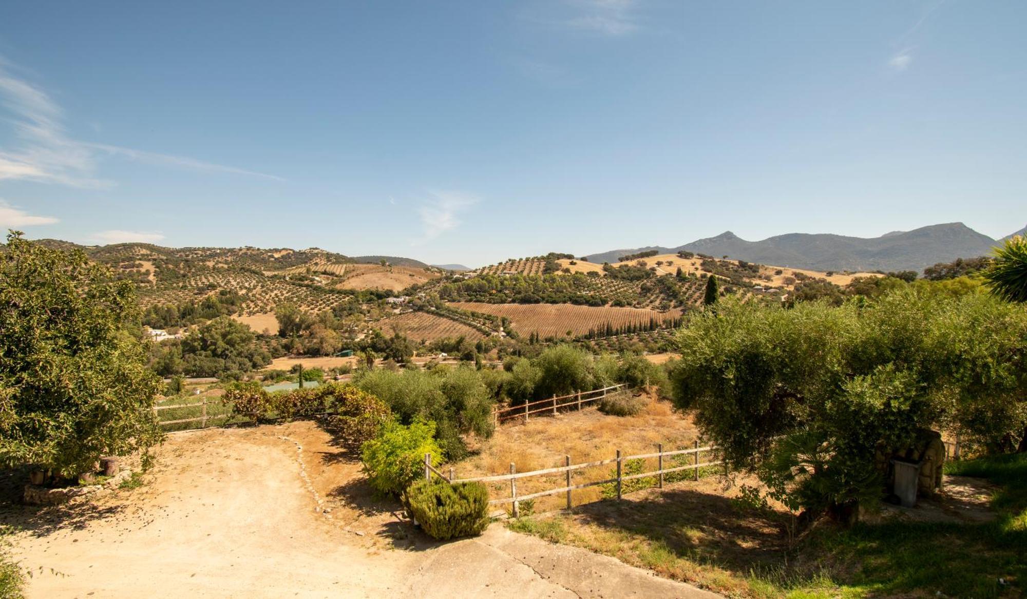 Casa Rural El Carmen ปราโด เดล เรย์ ภายนอก รูปภาพ