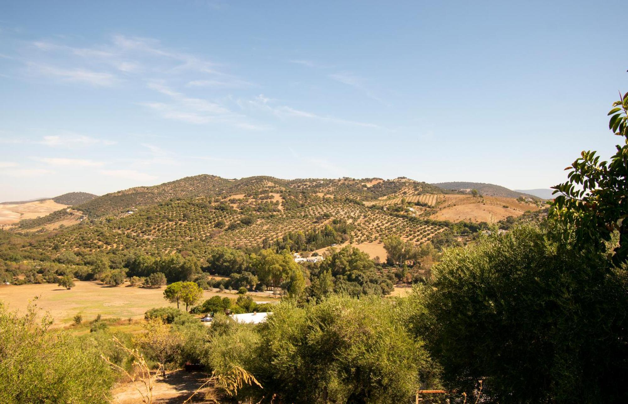 Casa Rural El Carmen ปราโด เดล เรย์ ภายนอก รูปภาพ